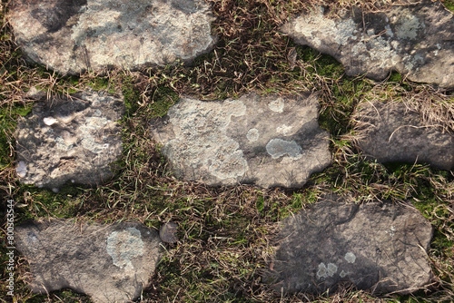 Hintergrund Stein und Moos