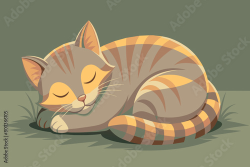 A cat is sleeping on the grass