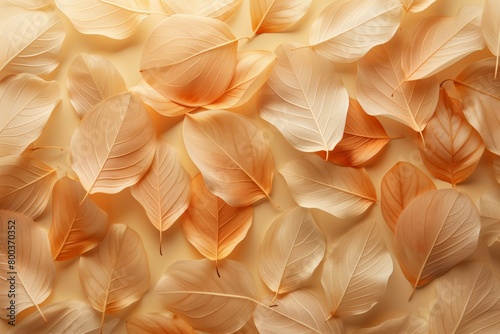 Leaves background. Beige leaves, macro photography, natural background, texture, veins, copy space. Beige Leaves with Veins.