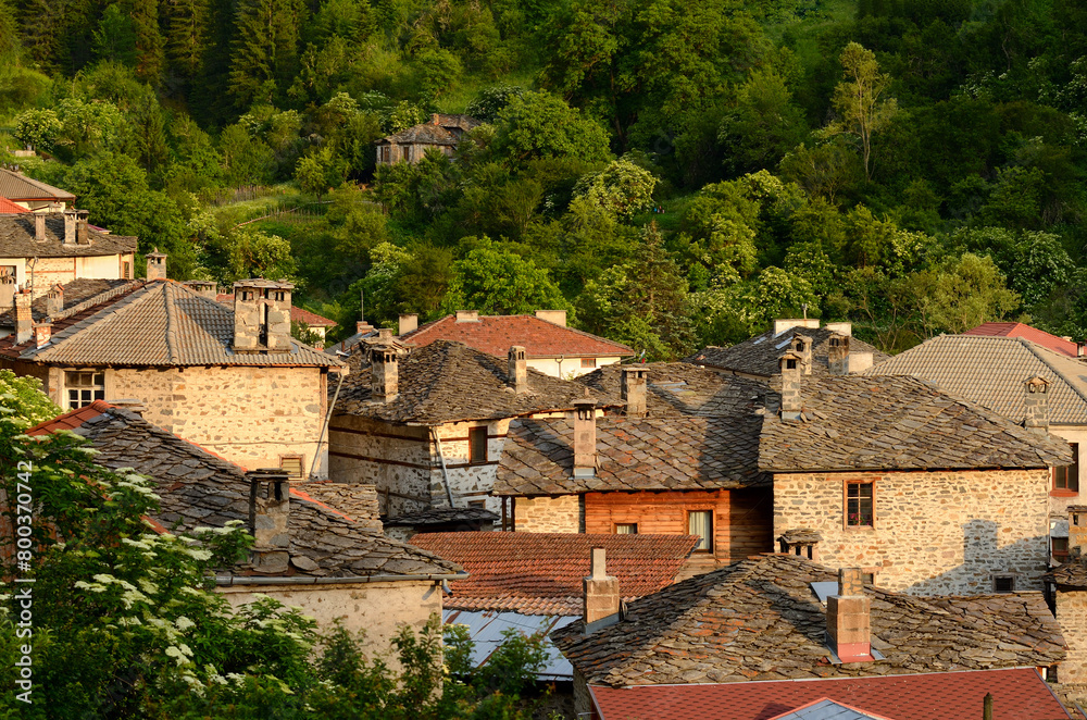 Old Houses from Stone in the springtime Old Houses from Stone in the springtime