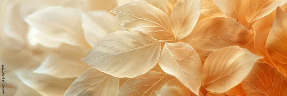 Leaves background. Beige leaves, macro photography, natural background, texture, veins, copy space. Beige Leaves with Veins.