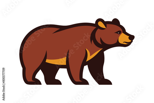 Hand drawn bear for your design  wildlife concept vector