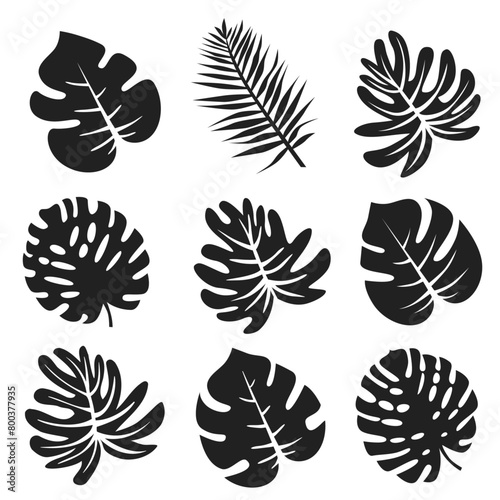 Palm leaves. Exotic black leaves. Silhouettes of various palm trees.