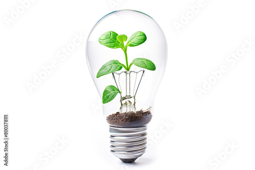 Innovation in Sustainability: Sprout in Light Bulb Conceptualizing Green Energy and Eco-Innovation. Creative Visual for Eco-Solutions and Sustainable Development. photo