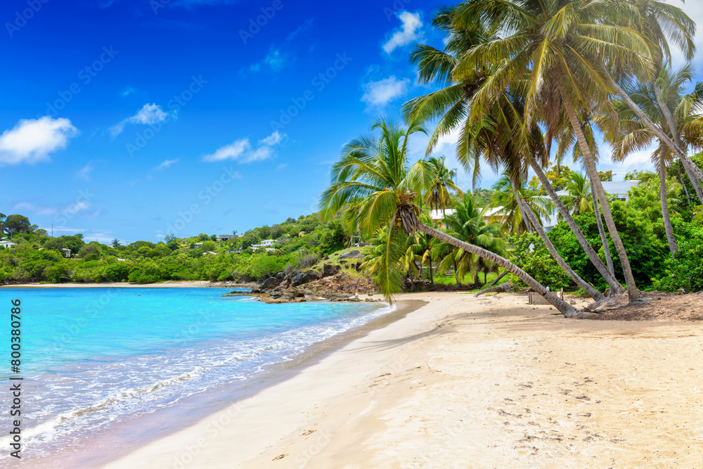 The beautiful beach of Carlisle Bay at the Caribbean islands of Antigua and Barbuda with fine sand and coconut palm trees The beautiful beach of Carlisle Bay at the Caribbean islands of Antigua and Barbuda with fine sand and coconut palm trees