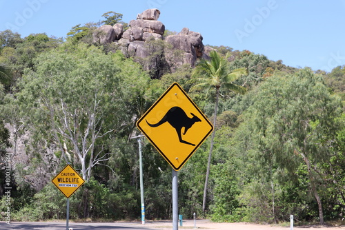 Warning Signs for Kangaroos Ahead on a Sunny Day in an Australian Landscape