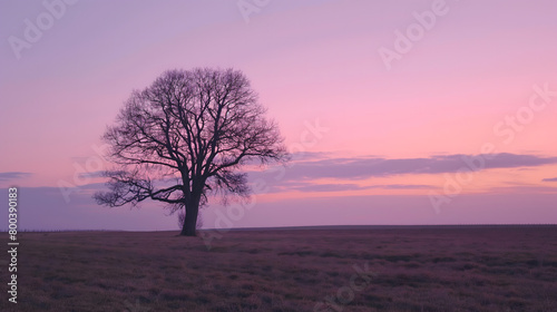 Tranquil Sunrise Landscape with Lone Tree and Misty Fields © slonme
