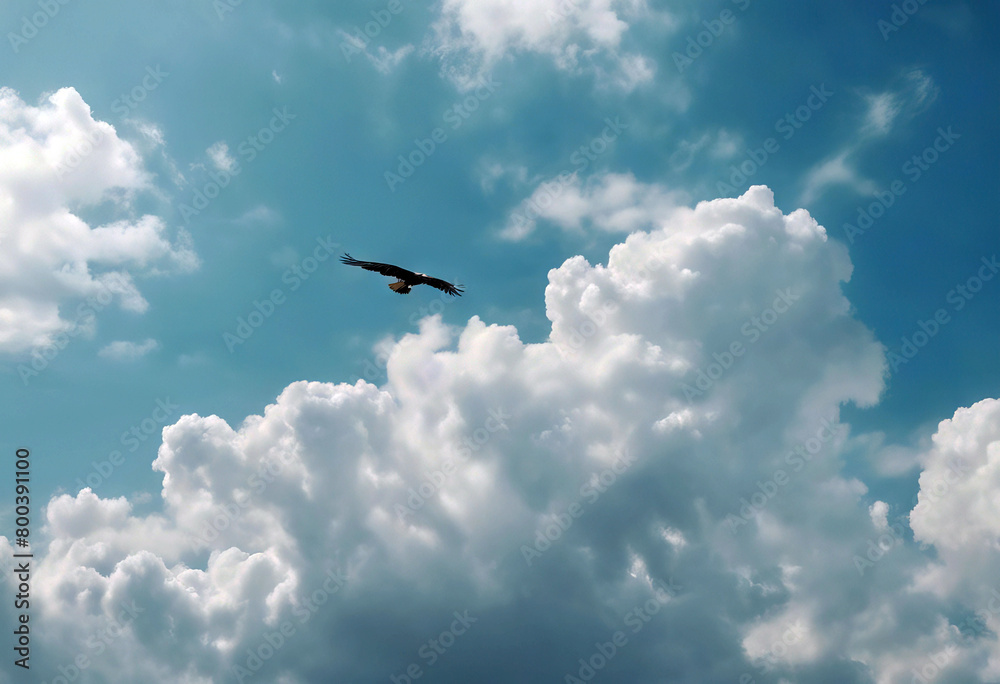 'eagles fly sky many clouds Thailandno background blue Stratocumulus focus looking sky Background Sky Landscape Light Cloud Smoke Wave Blue Sunset Thailand Lightning Skyline Weather Air Horizon'