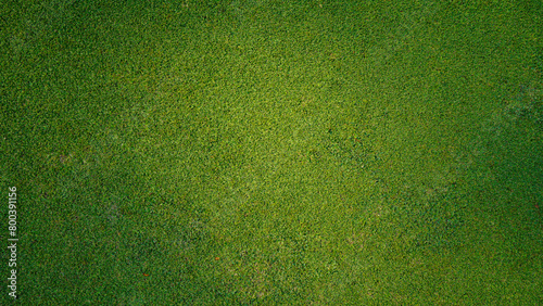 Green grass background, top view background of garden bright grass concept used for making green backdrop