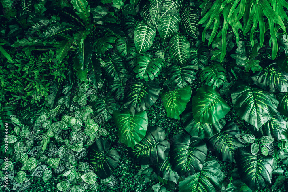 Fototapeta premium Close-up of a group of green leaves, providing a textured and abstract nature background. Rich foliage textures, exotic greenery, and botanical patterns..