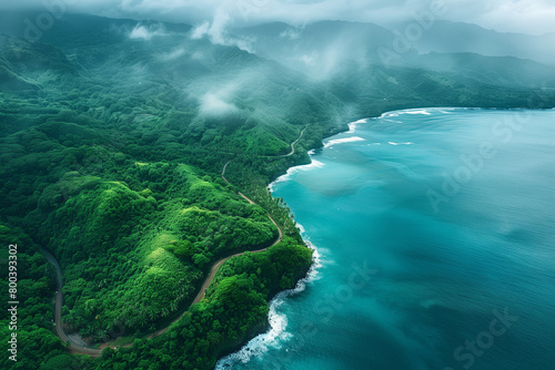 aerial view of the island of hawaii  winding coastline with lush greenery  blue ocean on one side and dense forest on the other