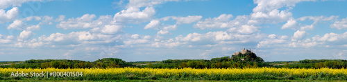 Niebieskie niebo nad polem rzepaku photo