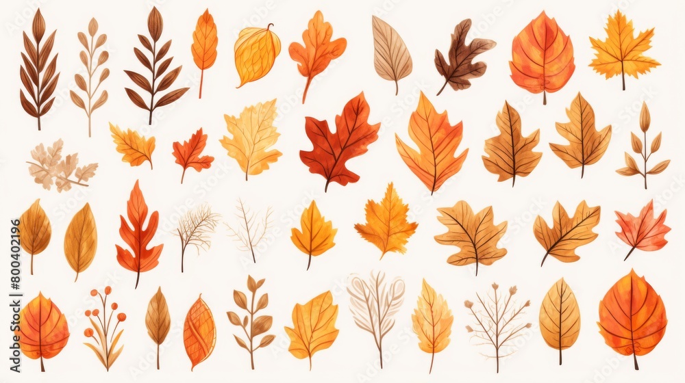 Obraz premium An artistic collection display of various autumn leaves with vibrant fall colors showcasing the beauty of the changing seasons