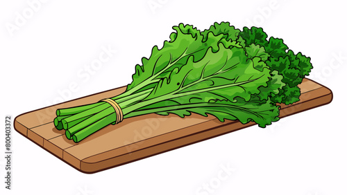 A bundle of leafy green curly kale sits on a ting board ready to be washed and chopped for a nutritious salad. Its thin crisp stems and feathery. Cartoon Vector.