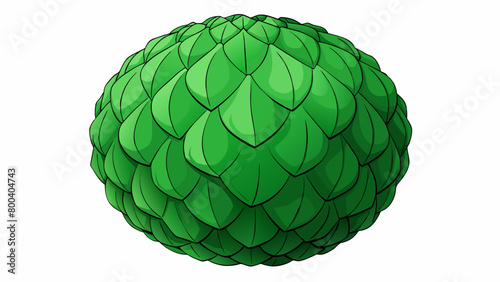 A large roundshaped object with tightlypacked deep green leaves. Its firm leaves have a wavy texture and a slightly sweet flavor.  on white. Cartoon Vector.