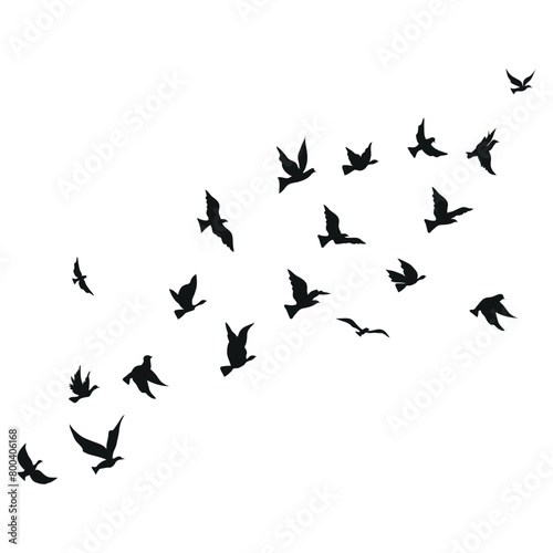 flying birds silhouette set clipart isolated on white background