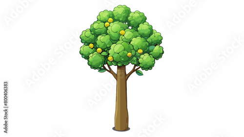A tall tree with dark glossy leaves and an abundance of small fragrant flowers. Its branches are weighed down with s of plump green fruit that. Cartoon Vector.