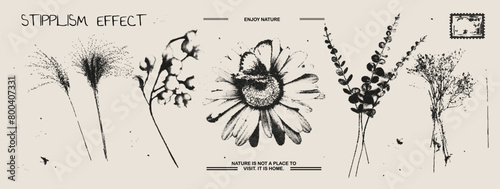 Different branches, chamomile, butterfly photocopy effect elements set with grunge stippling grain messy texture. Trendy y2k aesthetic vector illustration. Ideal for poster design, t shirt photo