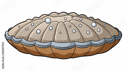 The clam was large and rectangular with a rough textured shell. Its color was a muted graybrown and there were tiny barnacles tered across its surface. Cartoon Vector. photo