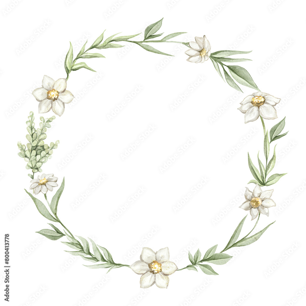 Round oval composition frame with green twigs, daisies flowers and leaves vegetation composition isolated on white background. Watercolor hand drawn illustration sketch
