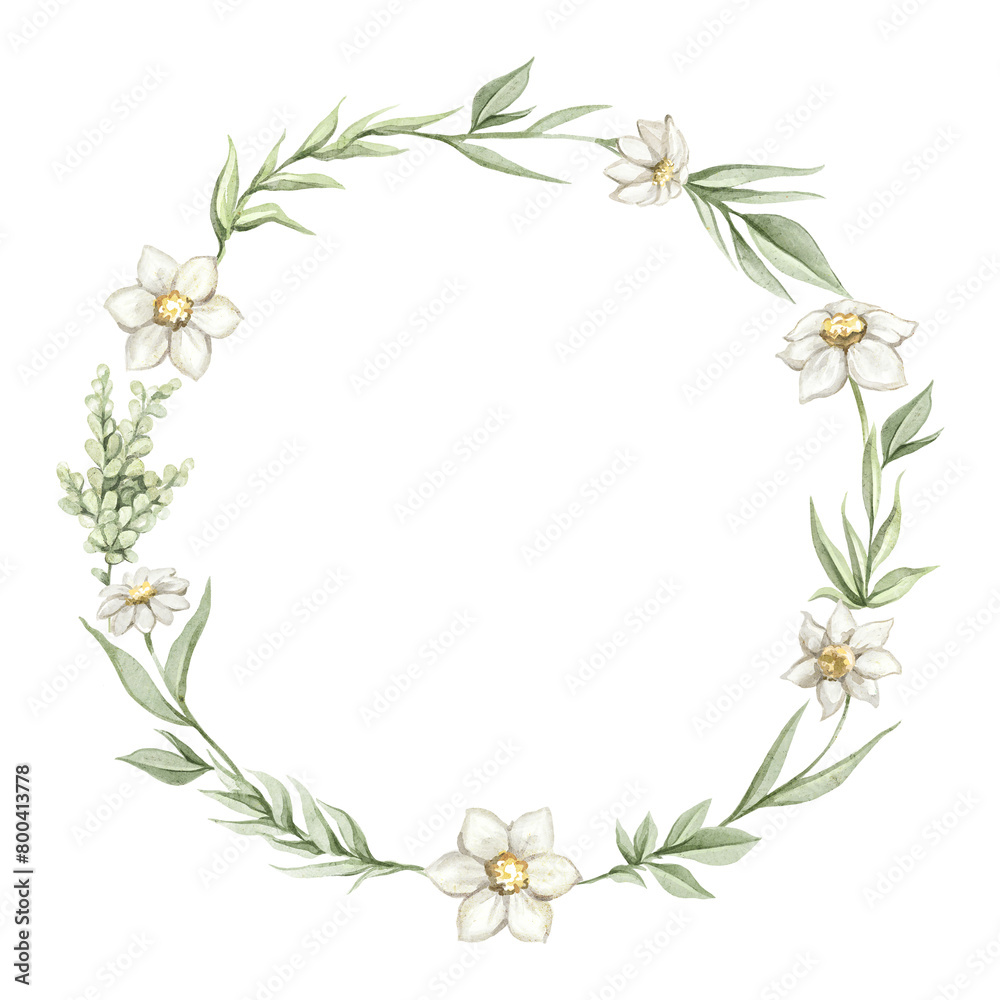 Round oval composition frame with green twigs, daisies flowers and leaves vegetation composition isolated on white background. Watercolor hand drawn illustration sketch Round oval composition frame with green twigs, daisies flowers and leaves vegetation composition isolated on white background. Watercolor hand drawn illustration sketch