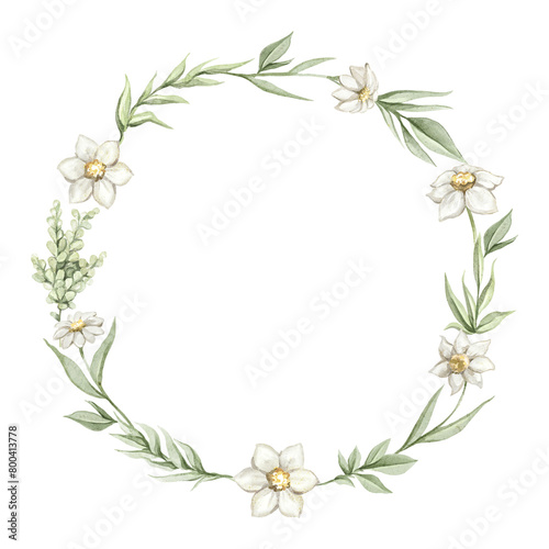 Round oval composition frame with green twigs  daisies flowers and leaves vegetation composition isolated on white background. Watercolor hand drawn illustration sketch