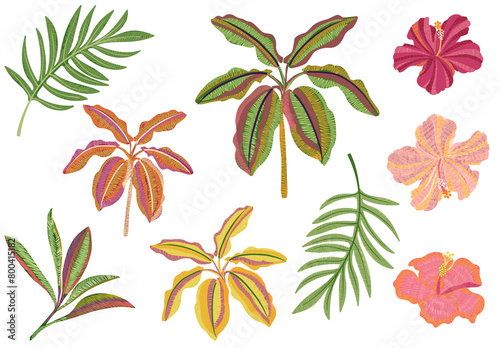 set of digital illustrations botanic abstract