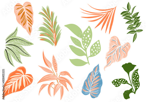 abstract botanical set of digital illustrations