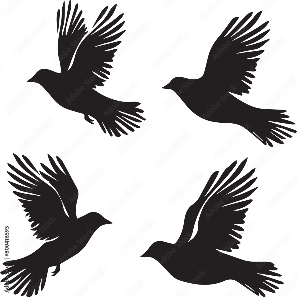 Obraz premium set of birds