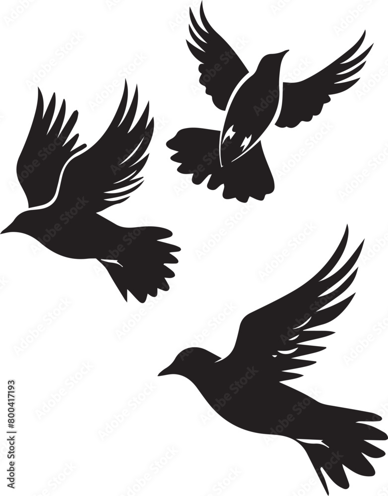 illustration of a bird illustration of a bird