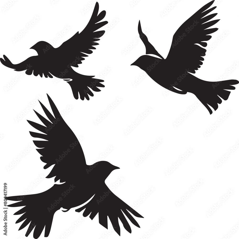 silhouettes of birds silhouettes of birds