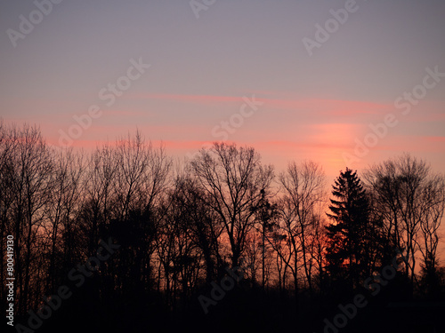 Sunrise trees silhouette © Pavel