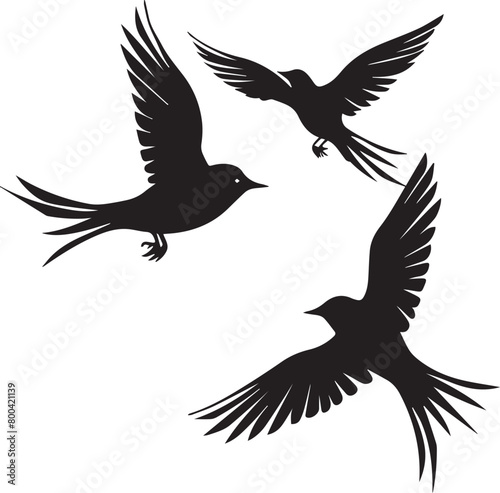 Wallpaper Mural set of birds Torontodigital.ca