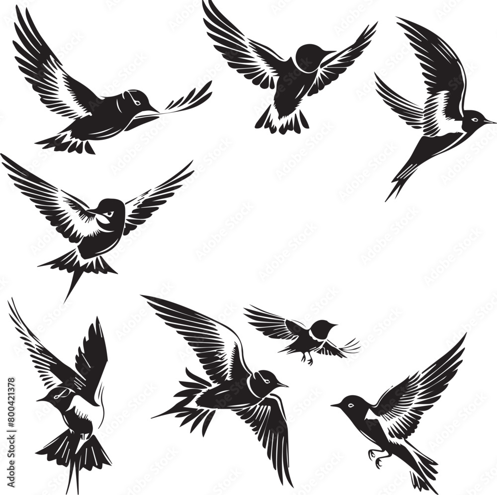 set of birds set of birds