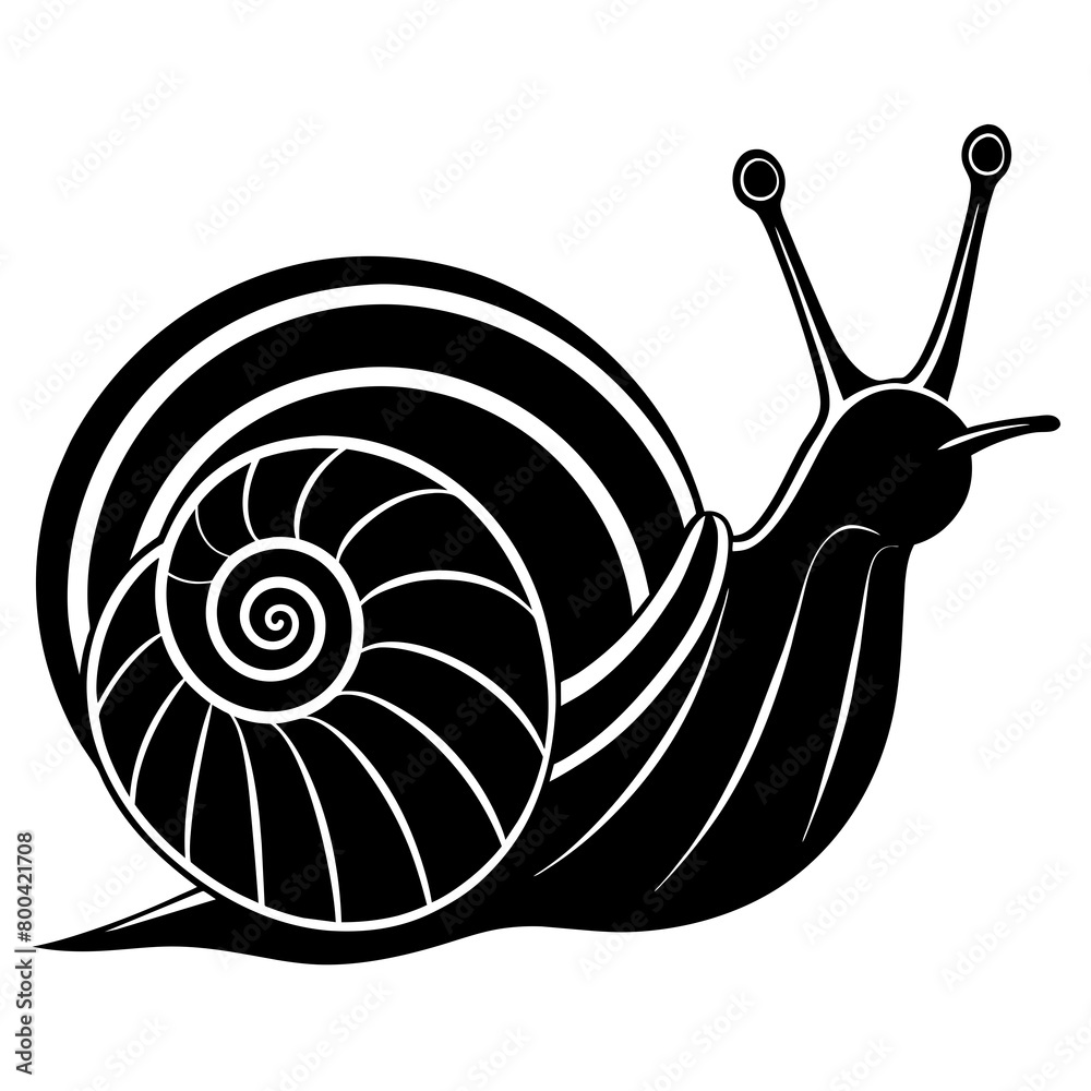 Snail silhouette vector illustration isolated on white background ...