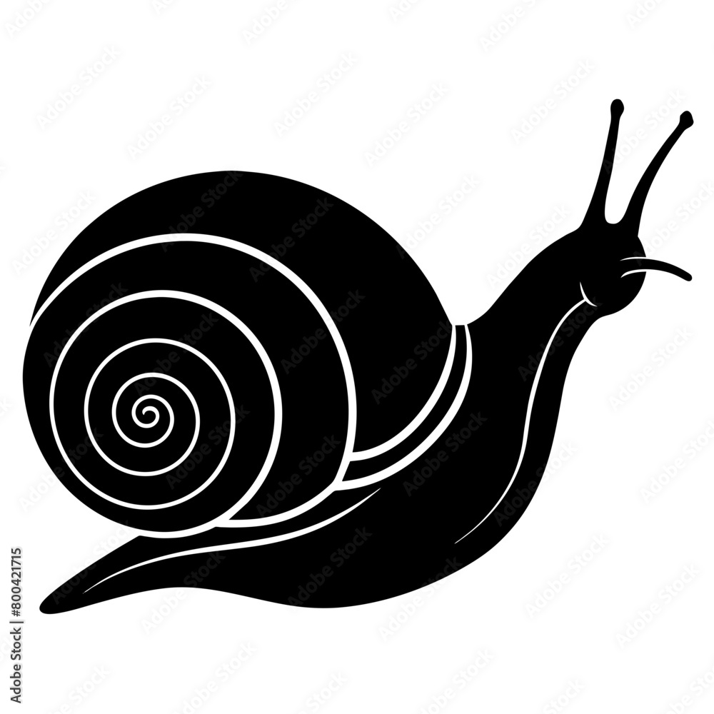 Snail silhouette vector illustration isolated on white background ...