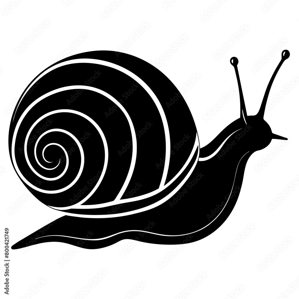 Snail silhouette vector illustration isolated on white background ...