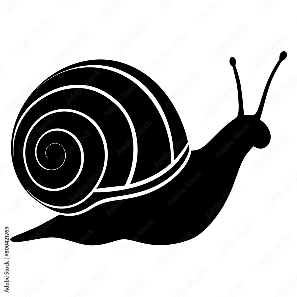 Snail silhouette vector illustration isolated on white background ...