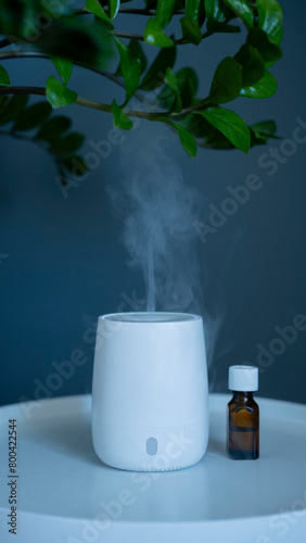 Aromatherapy diffuser for the room stands on the table.
White mini air humidifier for home with essential oil on a grey background