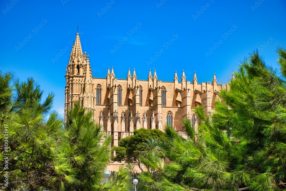 Fototapeta premium Palma Cathedral (Catedral de Santa María de Palma de Mallorca)