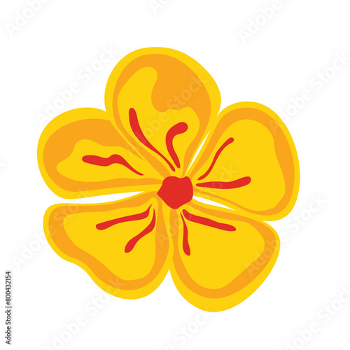 Blooming yellow flowers, simple flower vector illustration, isolated on white background