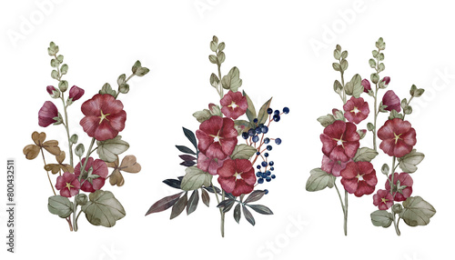 Red floral compositions with mallow branches and viburnum berries. Set of watercolor illustrations photo