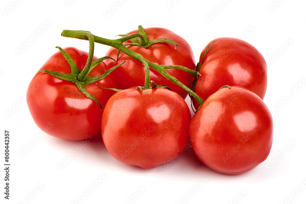 Tomato branch. Ripe fresh tomatoes, close-up, isolated on white background