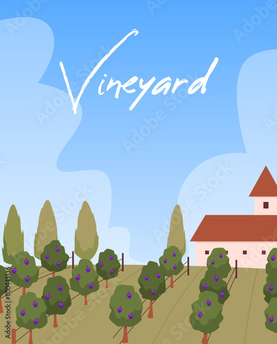 Vector illustration of a vineyard with grape fields, poster with place for text.