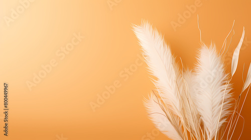 White grass on orange background