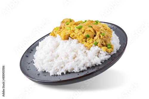 Oyadkodon, chicken and eggs rice bowl