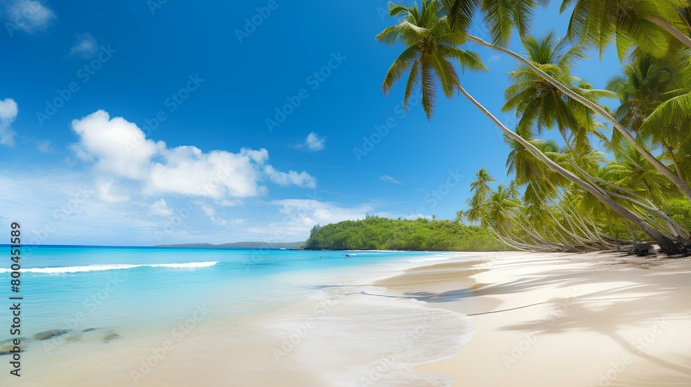 beach with coconut trees or palm trees