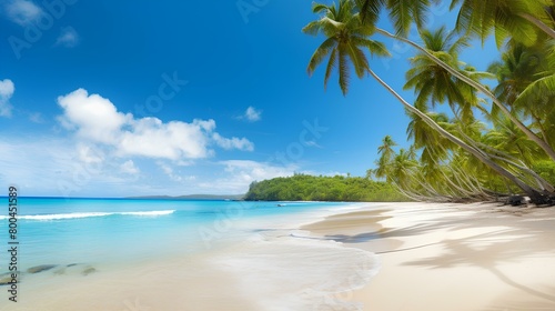 beach with coconut trees or palm trees photo