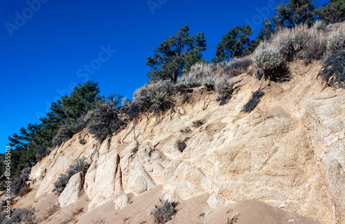 Conifers and other drought-resistant plants grow on the clay and stone rocks of the mountain at the pass in the Sierra Nevada Mountains, California, USA photo
