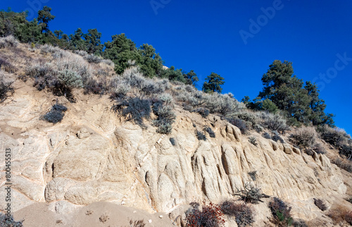Conifers and other drought-resistant plants grow on the clay and stone rocks of the mountain at the pass in the Sierra Nevada Mountains, California, USA photo